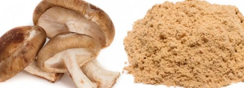 Shiitake Mushroom Powder, Organic Fruiting Body - 4oz
